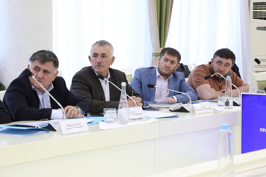 Представители Дагестана в субъектах РФ инициировали реализацию более 10 крупных инвестпроектов в республике